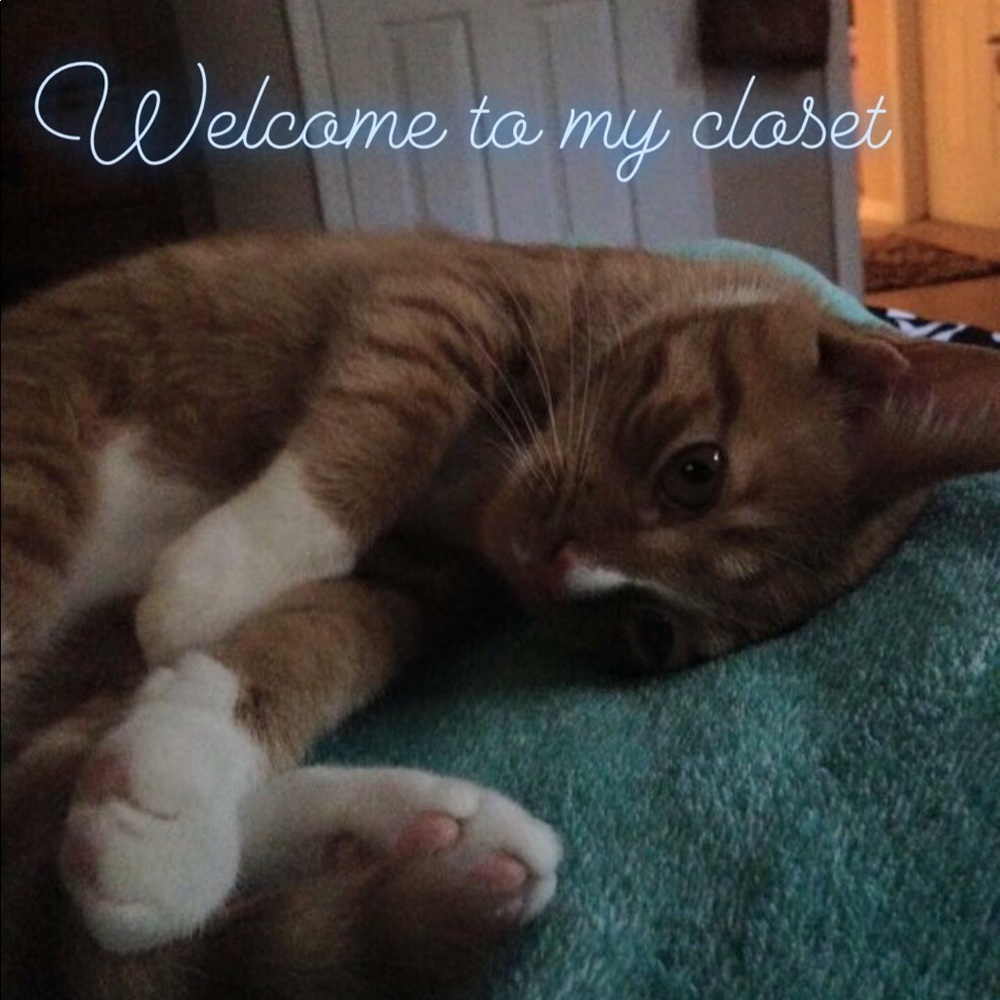 Welcome to my closet!